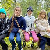 Экскурсии в школе